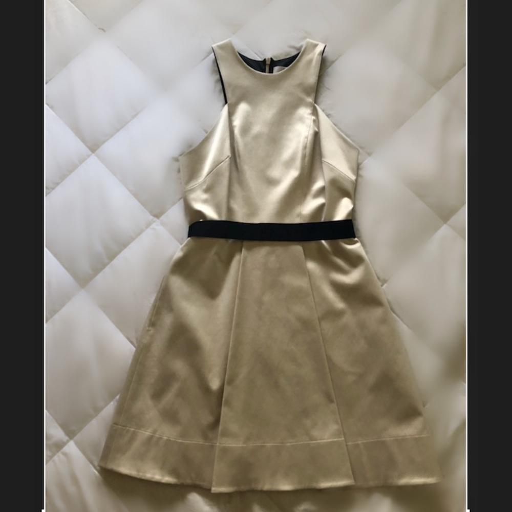 Robert Rodriguez Champagne Cocktail Dress